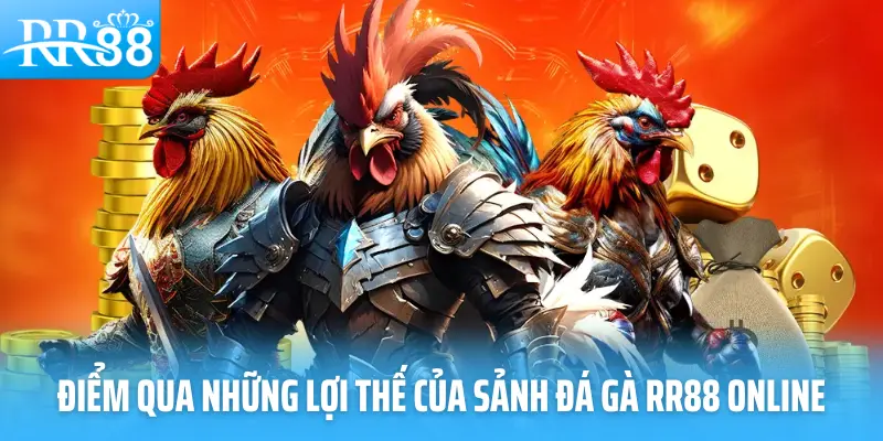 Điểm qua những lợi thế của sảnh đá gà RR88 online