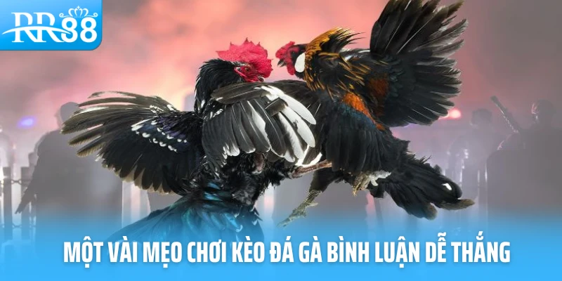 Một vài mẹo chơi kèo đá gà bình luận dễ thắng