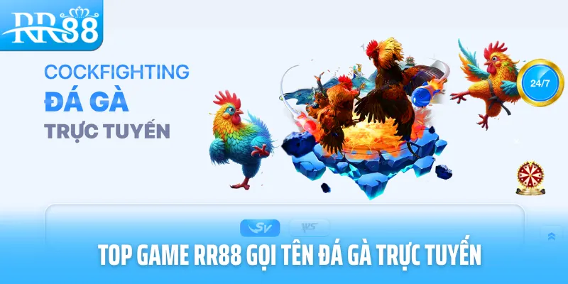 Top game RR88 gọi tên đá gà trực tuyến